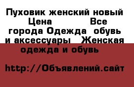 Пуховик женский новый › Цена ­ 2 600 - Все города Одежда, обувь и аксессуары » Женская одежда и обувь   